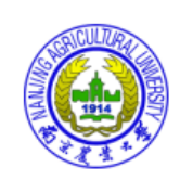 经济学