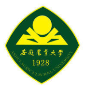 经济学